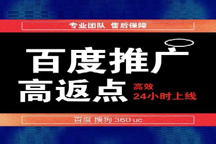 百度网络推广实战技巧：案例解析，让广告投放更精准